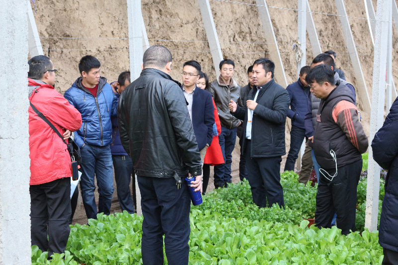 在盆栽蔬菜溫室，李軍老師給十二期學(xué)員講解盆栽蔬菜技術(shù)