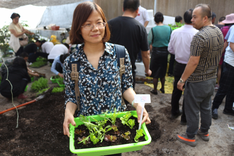 十五期學(xué)員在做盆栽蔬菜